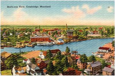 Bird's-eye view, Cambridge, Maryland — Vintage Maryland Postcard