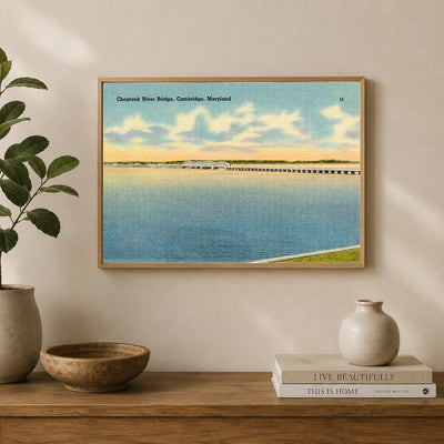 Choptank River Bridge, Cambridge, Maryland — Vintage Maryland Postcard