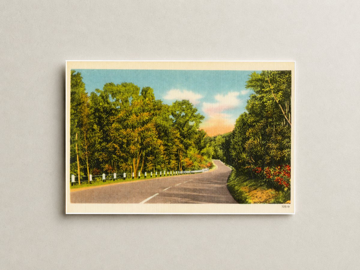 Winding road — Vintage Maryland Postcard