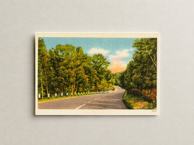 Winding road — Vintage Maryland Postcard