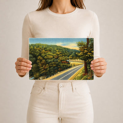 Road winding through forest — Vintage Maryland Postcard