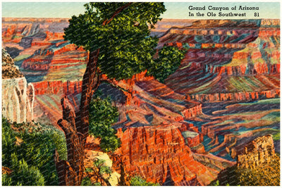 Grand Canyon, AZ: Grand Canyon of Arizona in the Ole Southwest