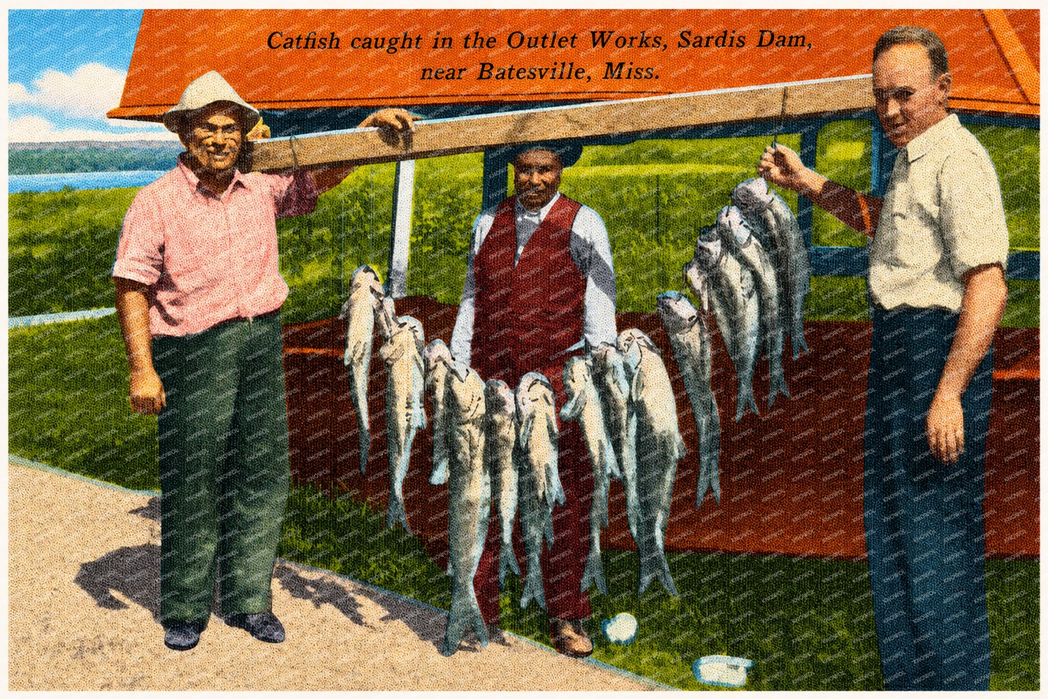 Sardis Lake, MS: Catfish caught in the outlet works, Sardis Dam, near Batesville