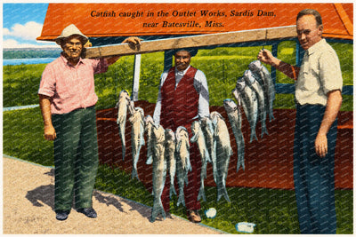 Sardis Lake, MS: Catfish caught in the outlet works, Sardis Dam, near Batesville