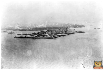 1908 View of Ellis Island from Libertys Torch