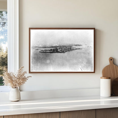 1908 View of Ellis Island from Libertys Torch