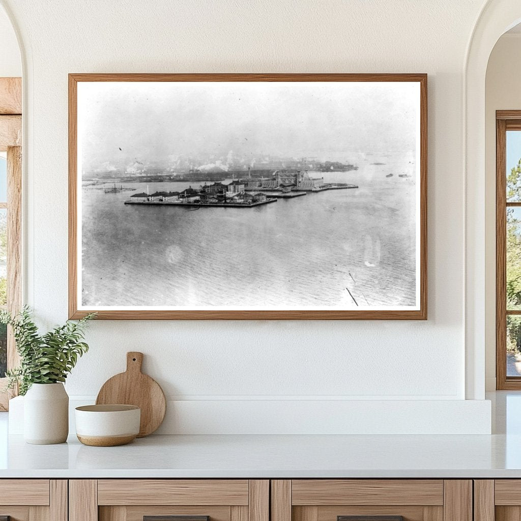 1908 View of Ellis Island from Libertys Torch