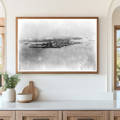 1908 View of Ellis Island from Libertys Torch