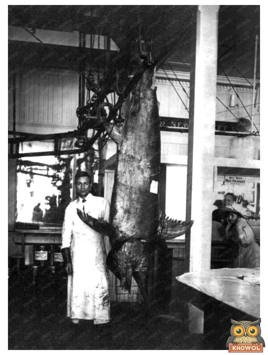 Historic 1910 Capture of a Giant Swordfish in LA