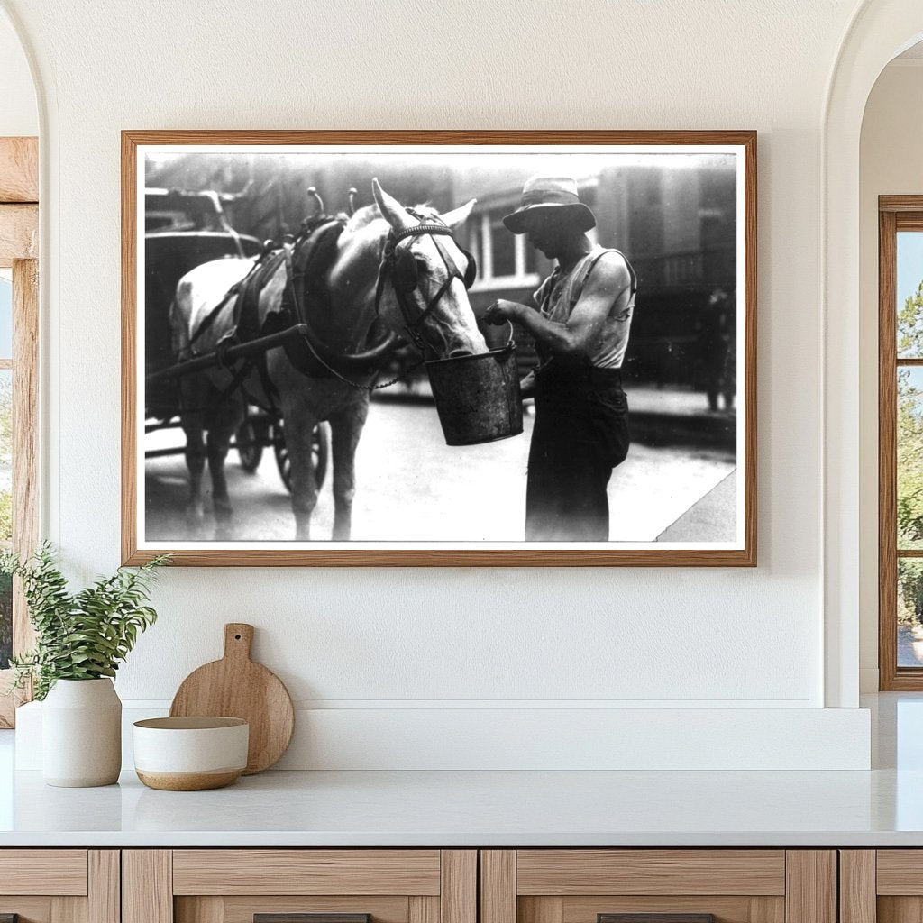 City Horse Refreshing in 1910 New York Scene