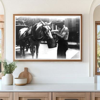 City Horse Refreshing in 1910 New York Scene