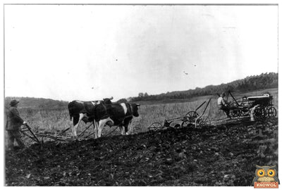 Traditional vs. Modern Farming: A Visual Contrast