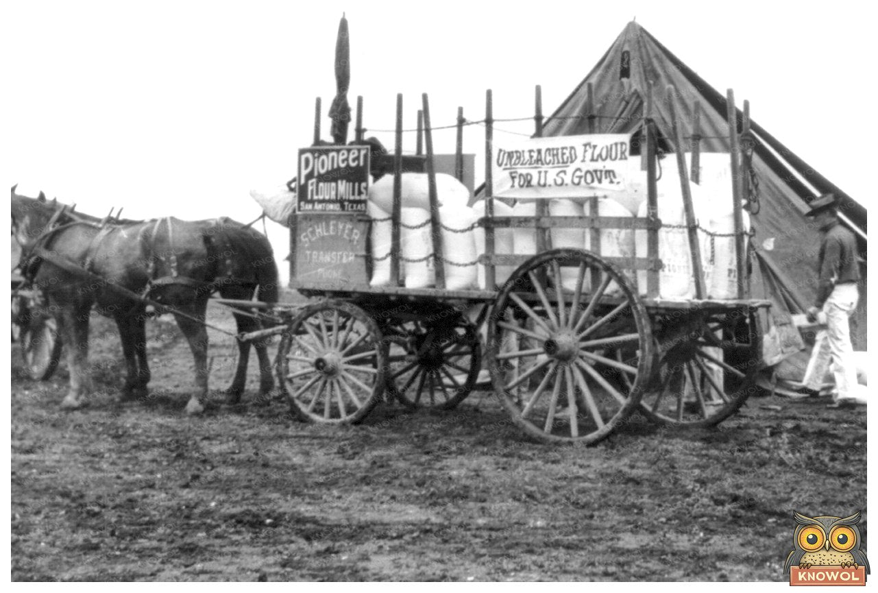 1912 Horse-Drawn Wagon at Fort Sam Houston, Texas
