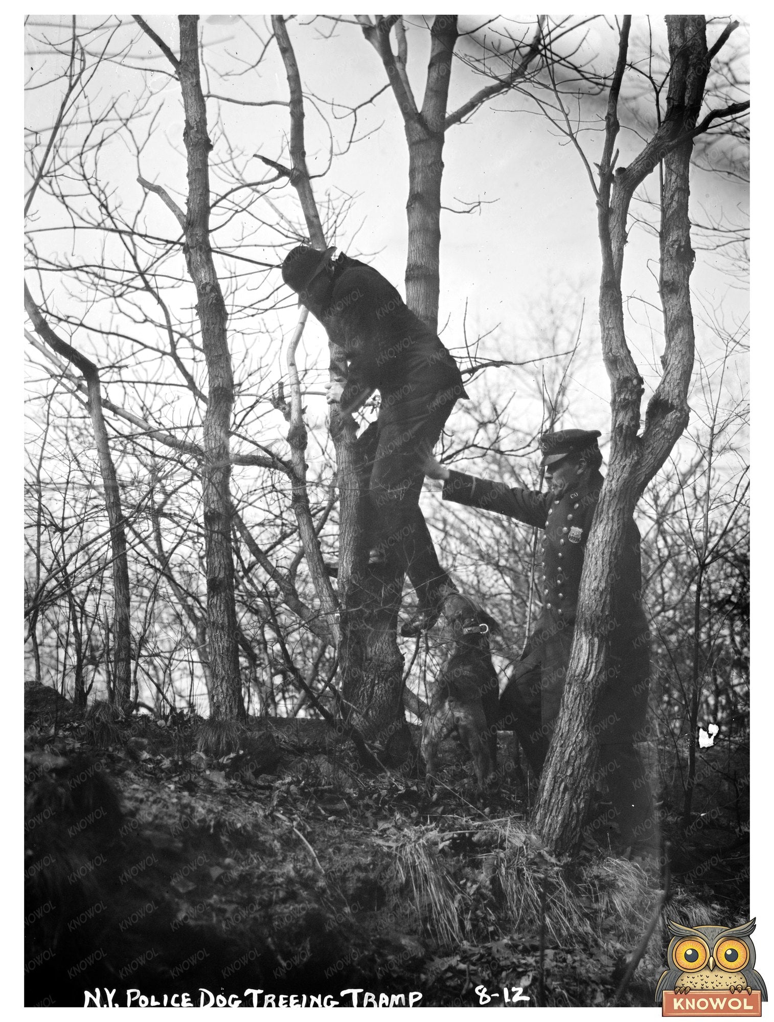Heroic Policeman and His Dog Patrol NYC Streets, 1912