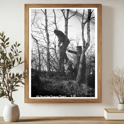Heroic Policeman and His Dog Patrol NYC Streets, 1912