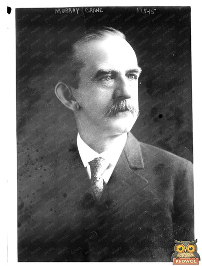 Vintage Portrait of Early 20th Century Politician