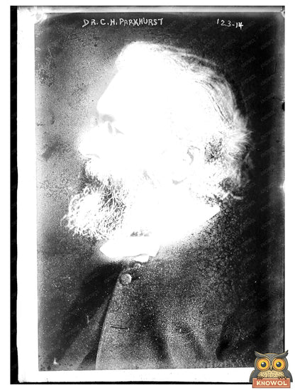 Influential Social Reformer: Dr. Parkhurst Portrait