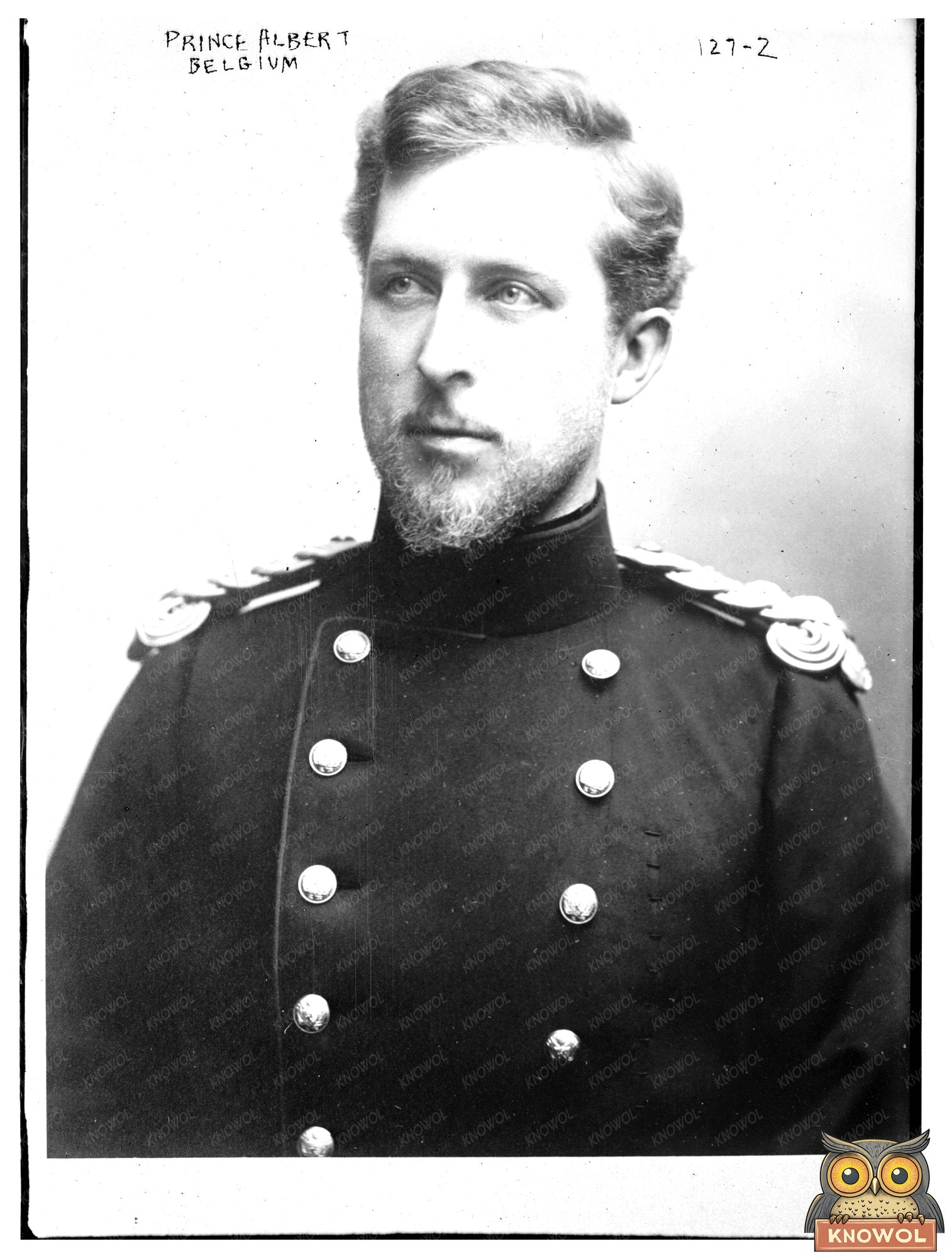 Regal Portrait of Prince Albert in Military Uniform