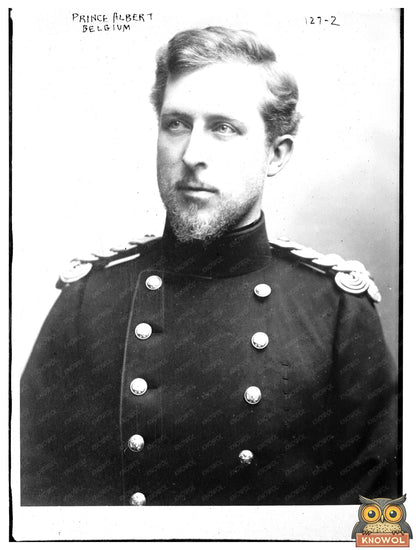 Regal Portrait of Prince Albert in Military Uniform