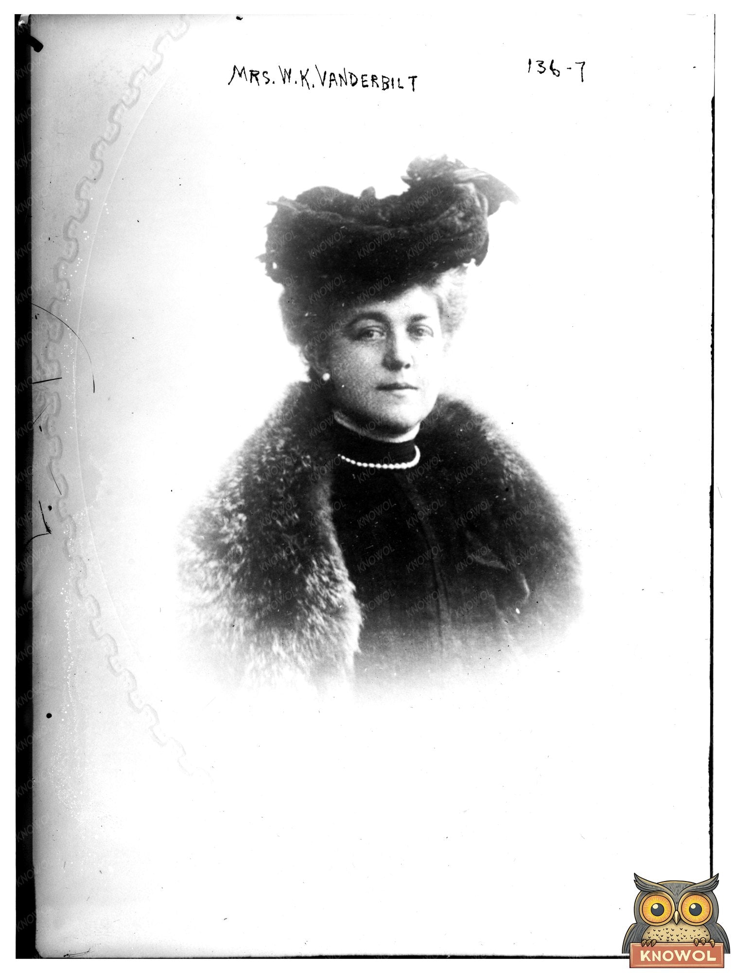 Elegant Portrait of a Gilded Age Society Matron