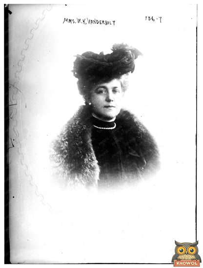 Elegant Portrait of a Gilded Age Society Matron