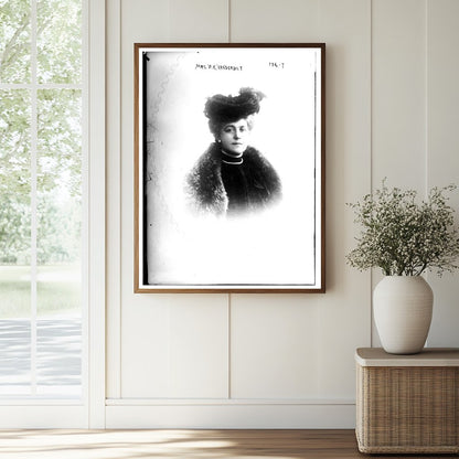 Elegant Portrait of a Gilded Age Society Matron