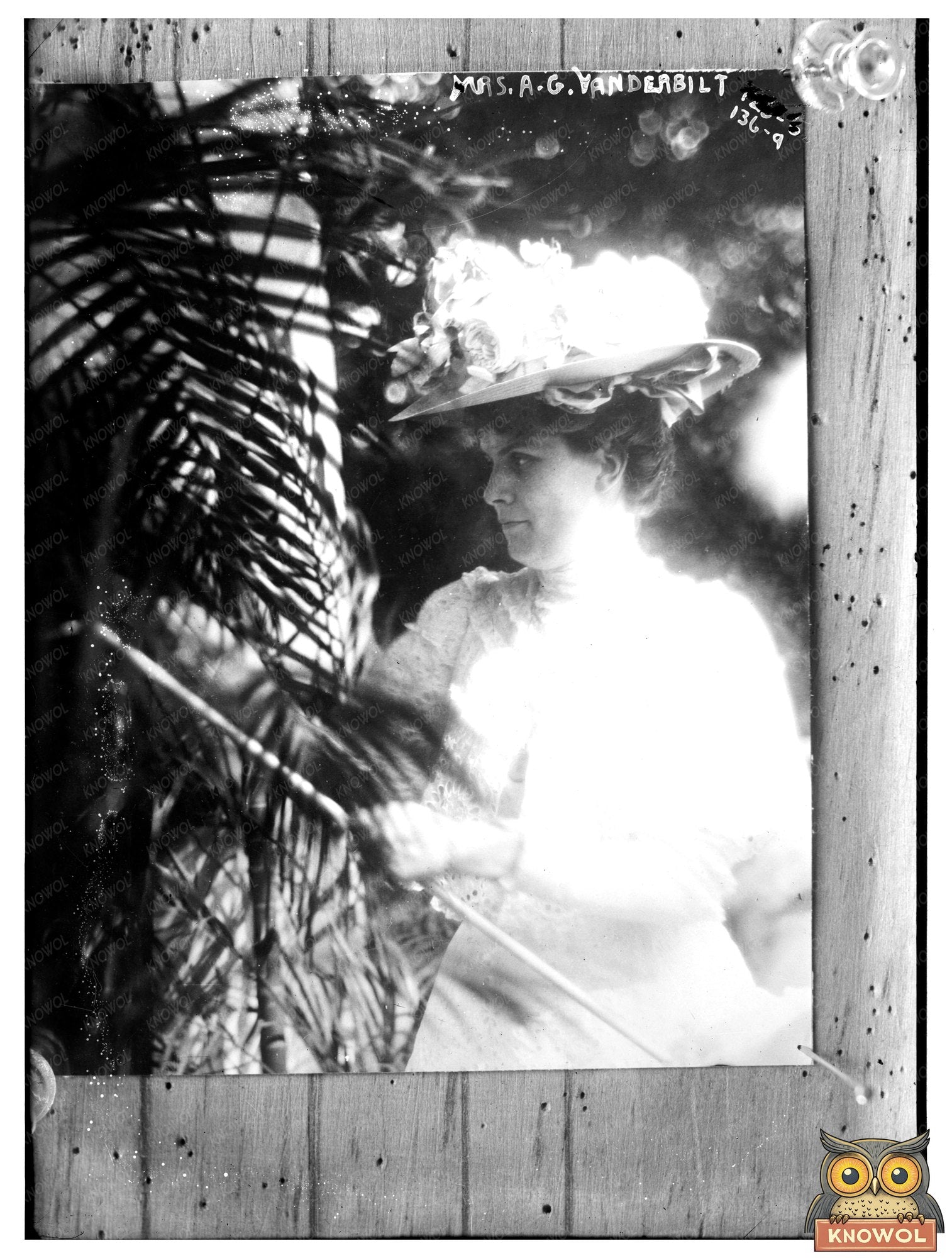 Elegant Society Matron of Early 20th Century America