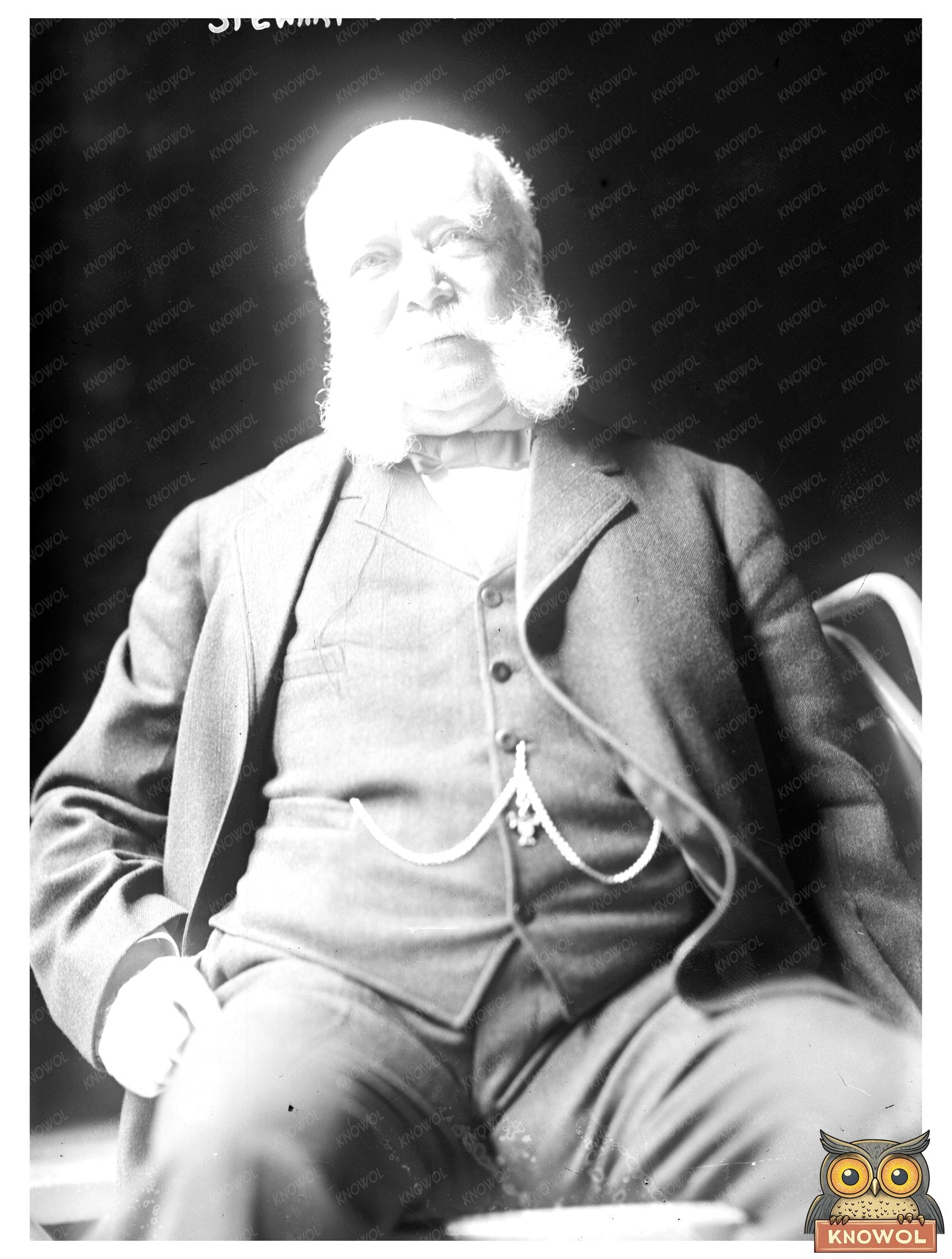 Portrait of a 19th Century Political Leader