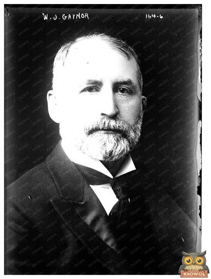 Timeless Portrait of Early 20th Century NYC Mayor