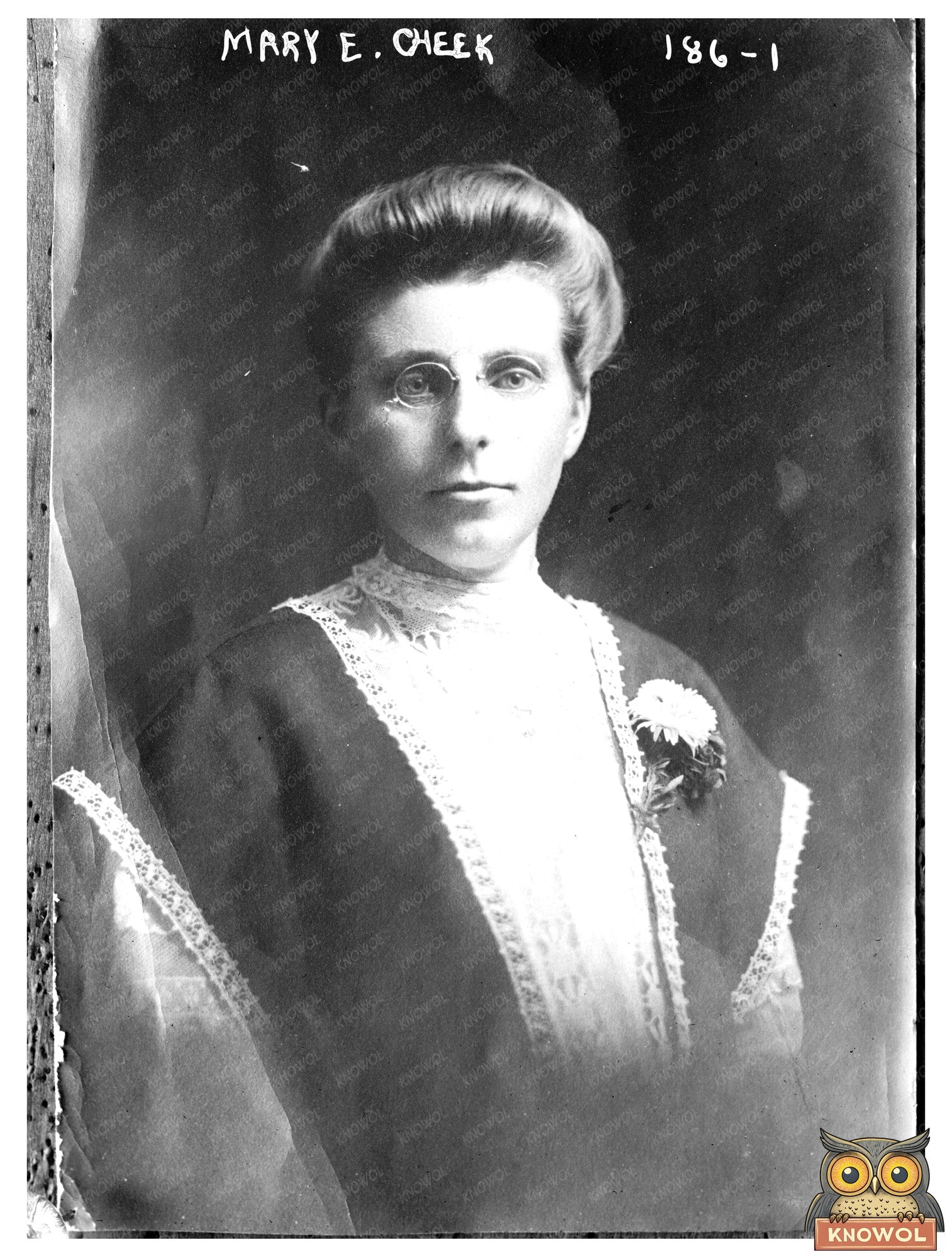 Elegant Early 20th Century Portrait of Mary E. Cheek – KNOWOL