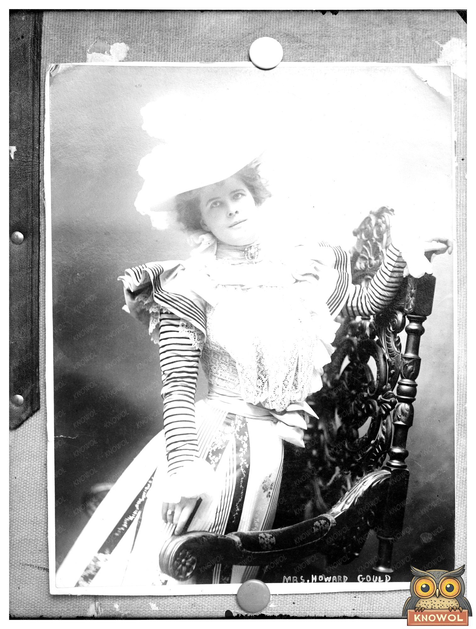 Elegant Society Portrait of Mrs. Howard Gould