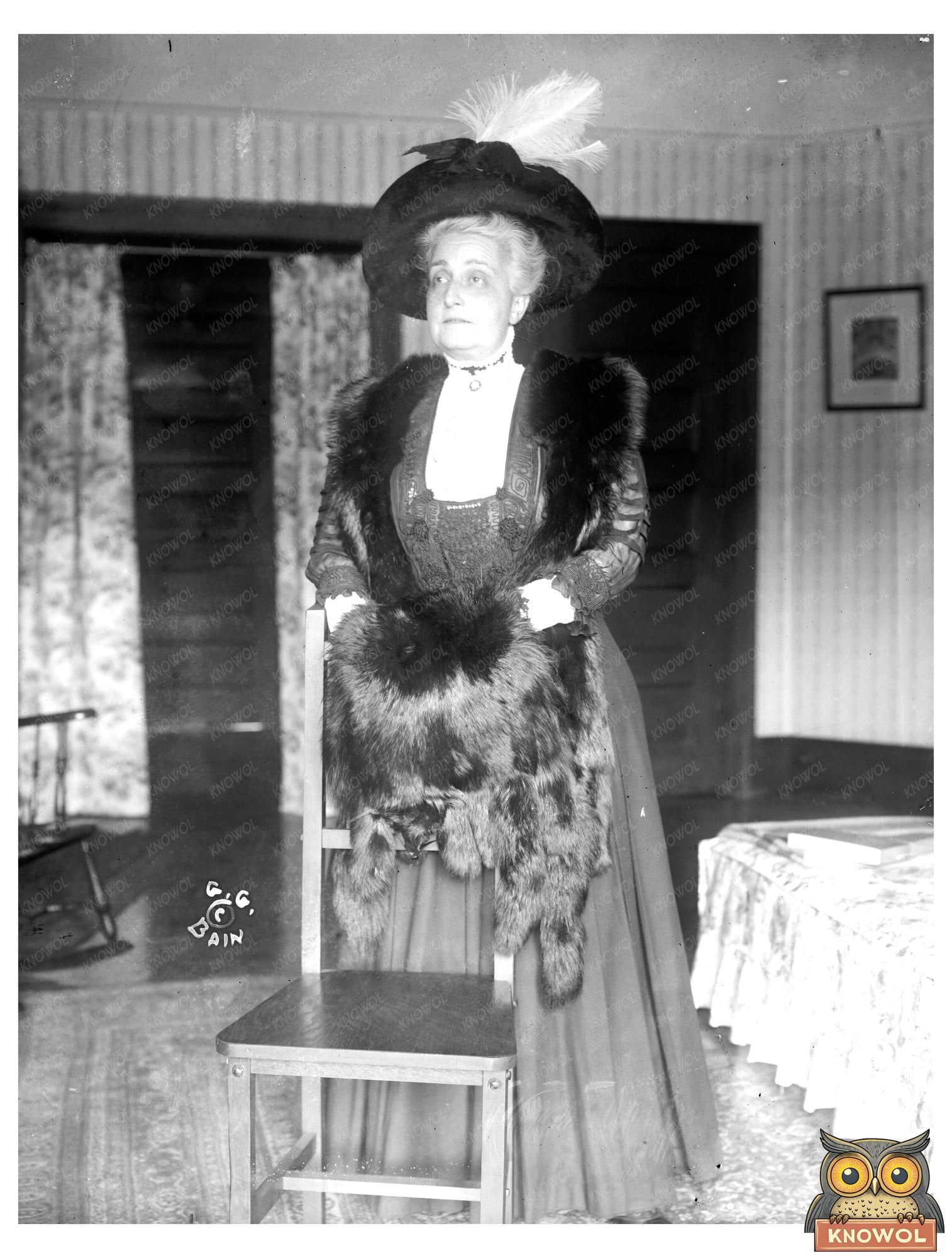 Elegant Portrait of a Late 19th Century Socialite