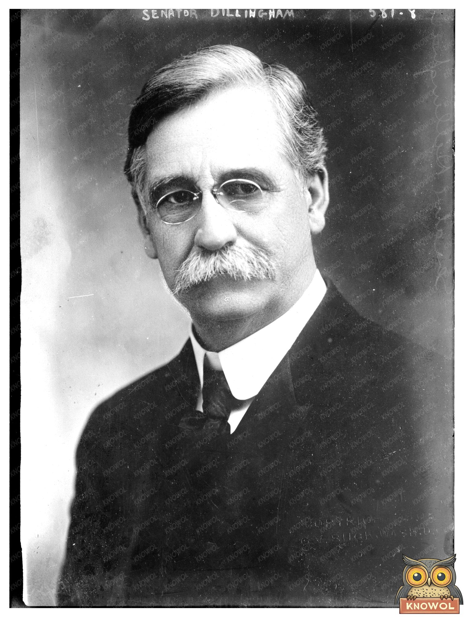 Senator Dillingham: A Glimpse into Early 20th-Century Politi