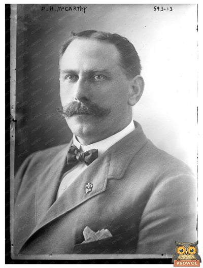 Portrait of a Prominent Historical Figure