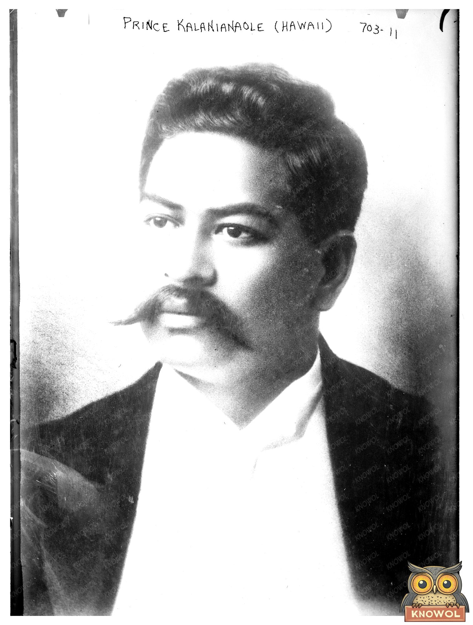 Regal Portrait of Prince Jonah Kūhiō Kalanianaʻole