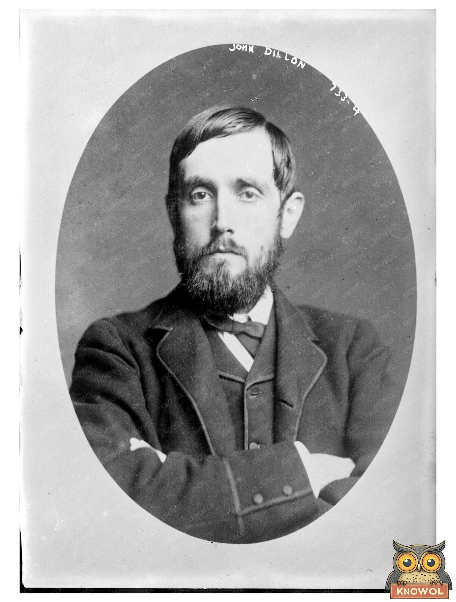 John Dillon: Influential Iowa Congressman Portrait