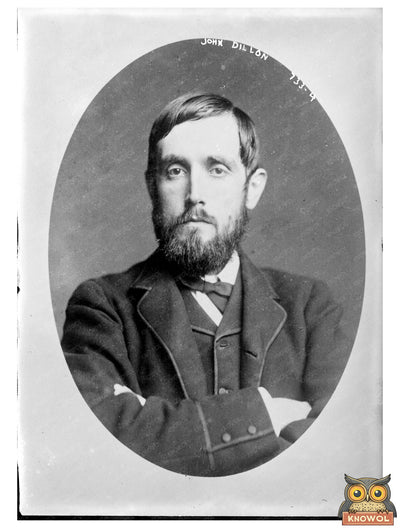 John Dillon: Influential Iowa Congressman Portrait