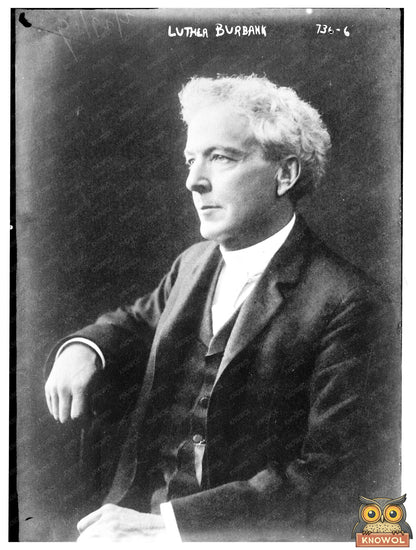 Luther Burbank: Pioneering Horticulturist Portrait