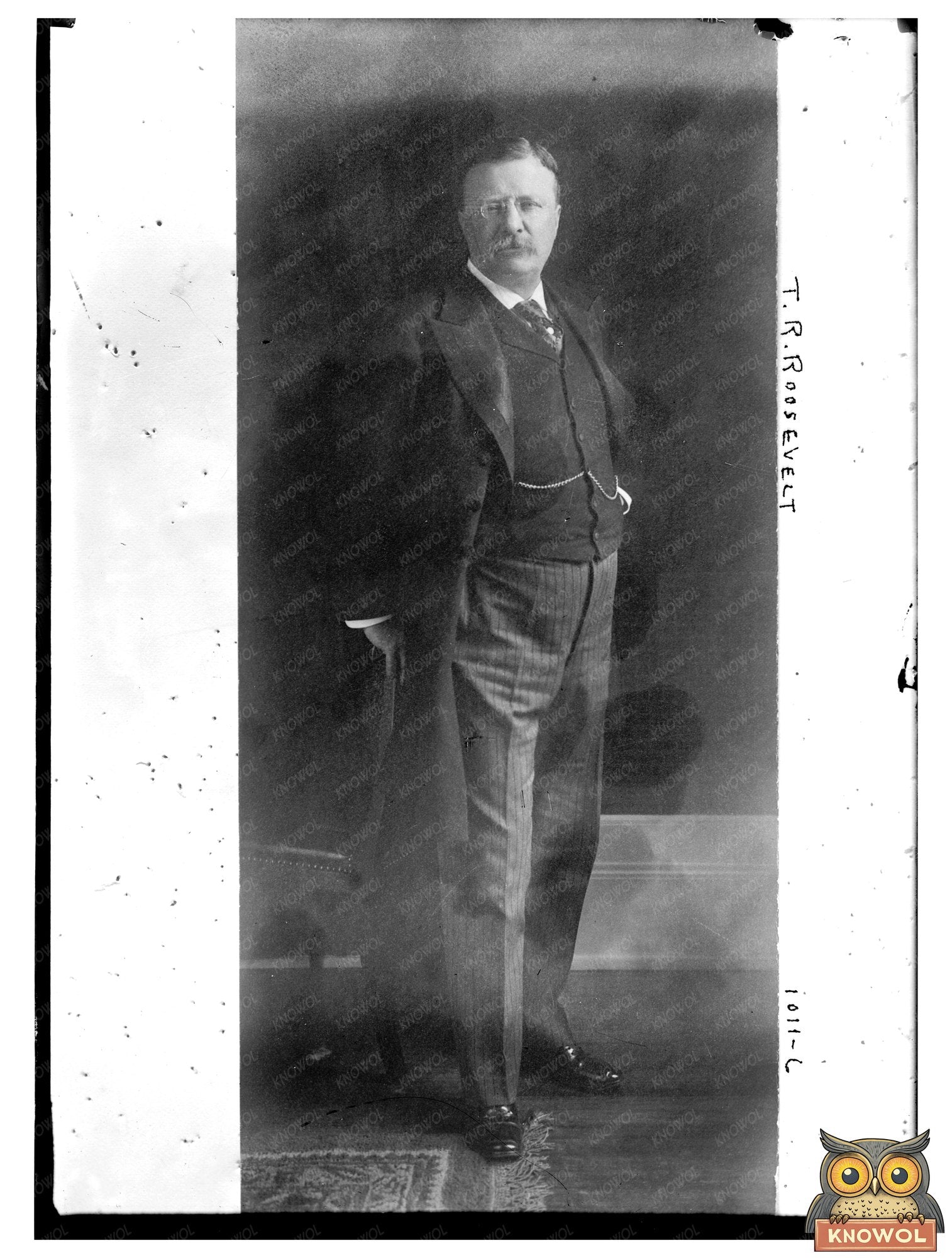 Historic Glass Negative of Theodore Roosevelt