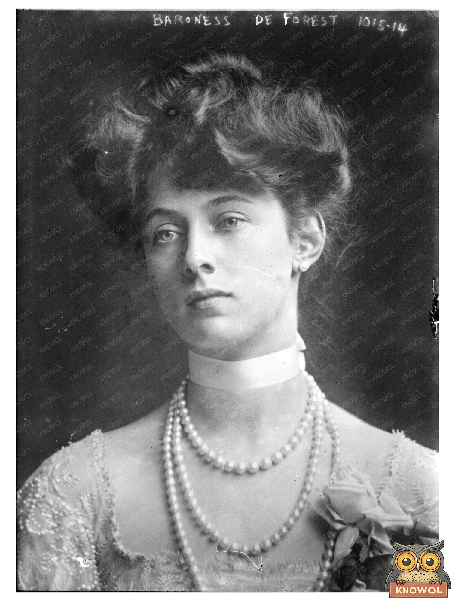 Elegant Portrait of Baroness de Forest, 1910