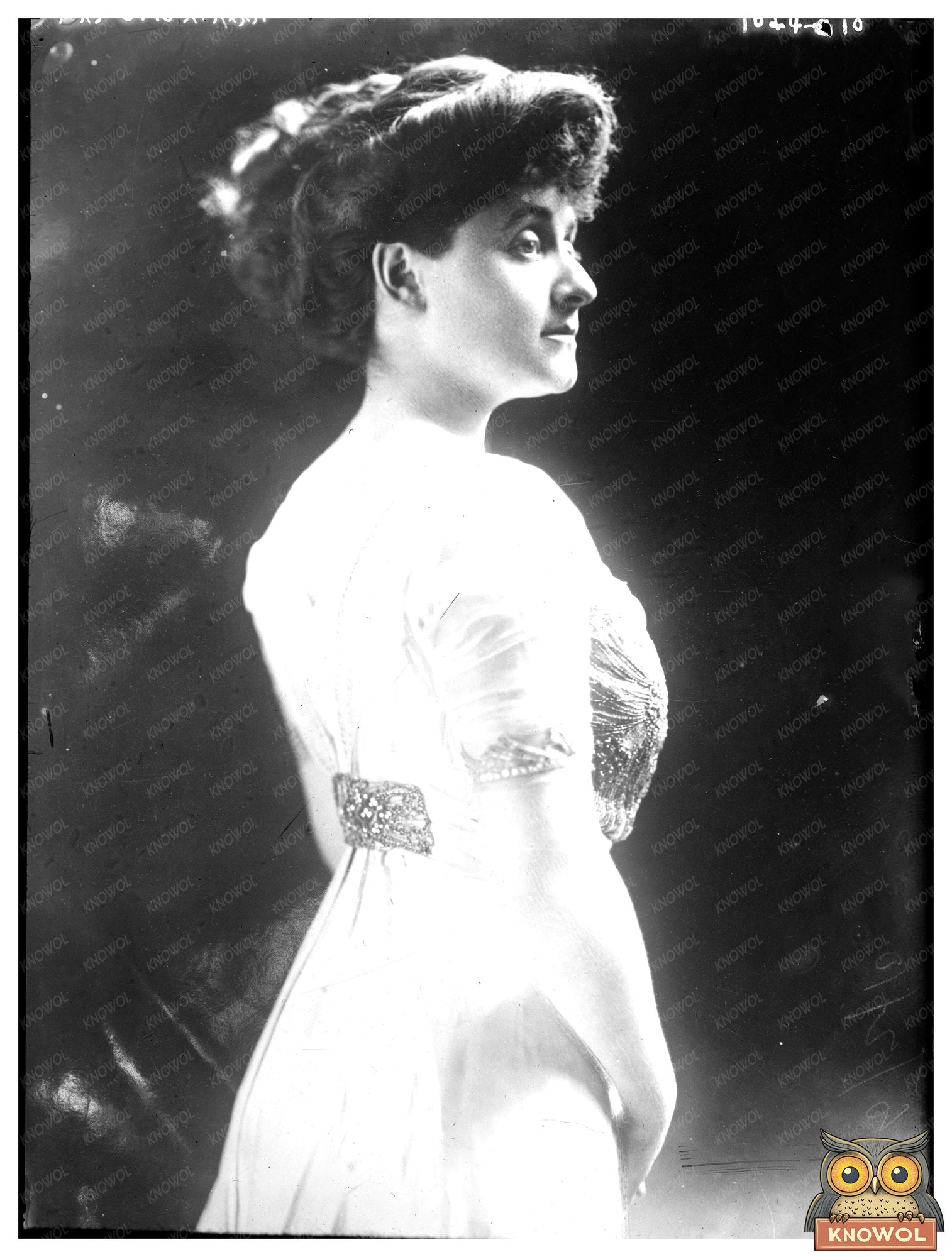 Graceful Elegance: Mrs. Otto H. Kahn in 1910