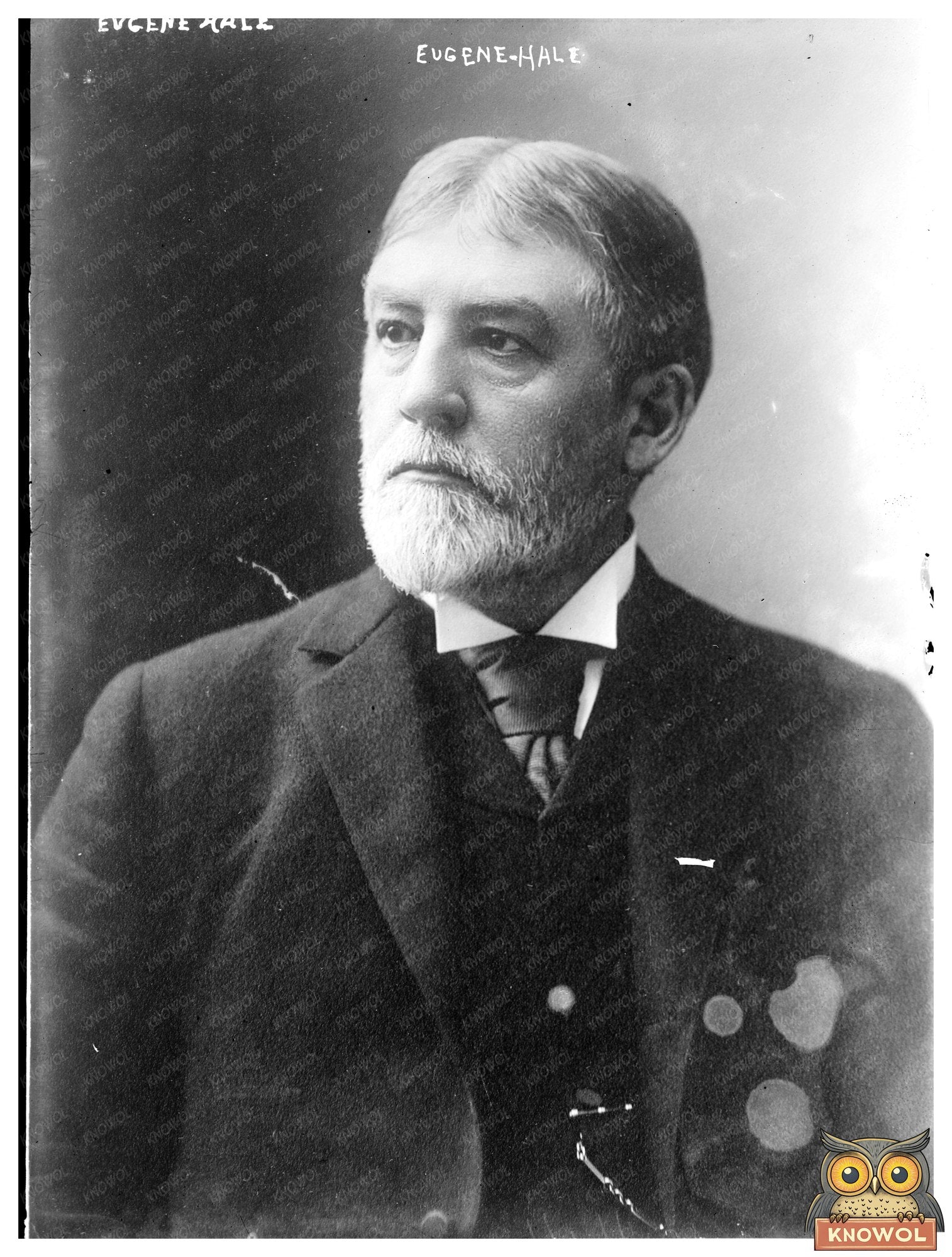 Eugene Hale: Maines Longserving U.S. Senator Portrait