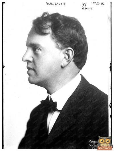 1904 St. Louis: Industrial Pioneers Leavitt & Strauss