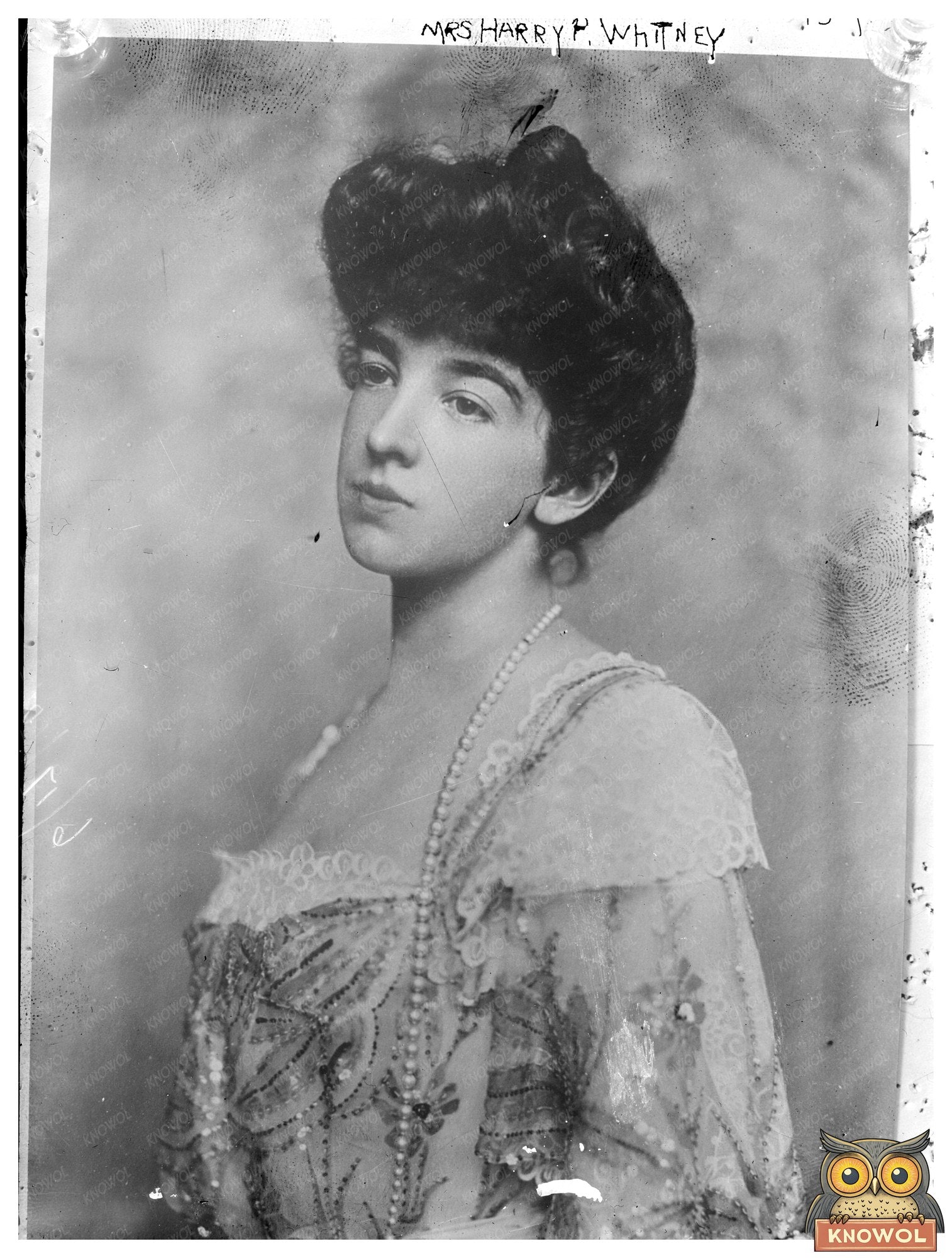 Elegant Portrait of a 19th Century Society Woman