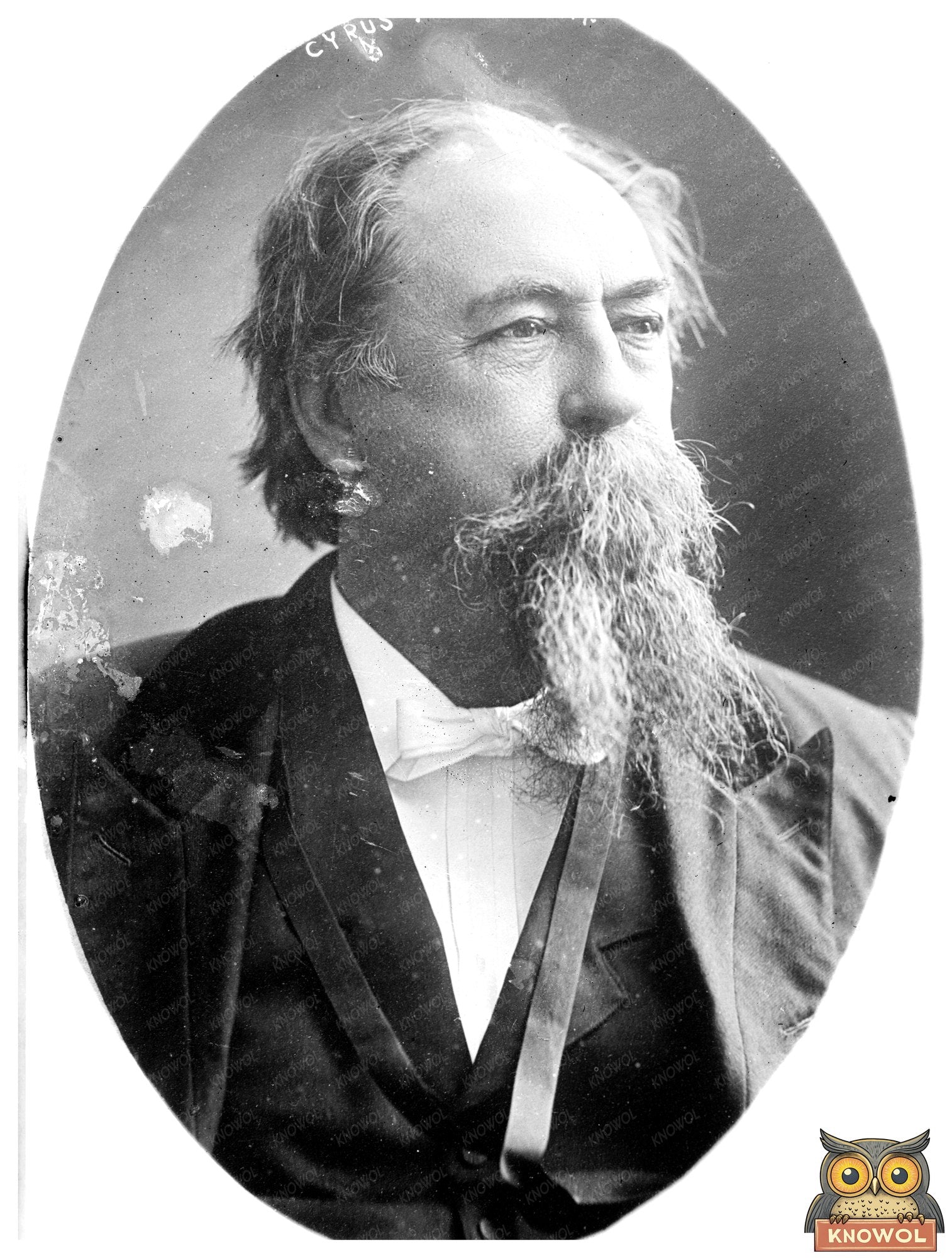 Timeless Portrait of Cyrus A. Sulloway, Political Icon