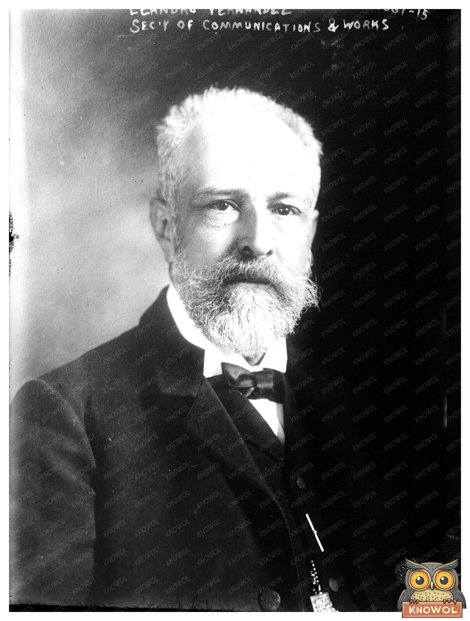 Historical Portrait of Puerto Ricos 1910 Leader