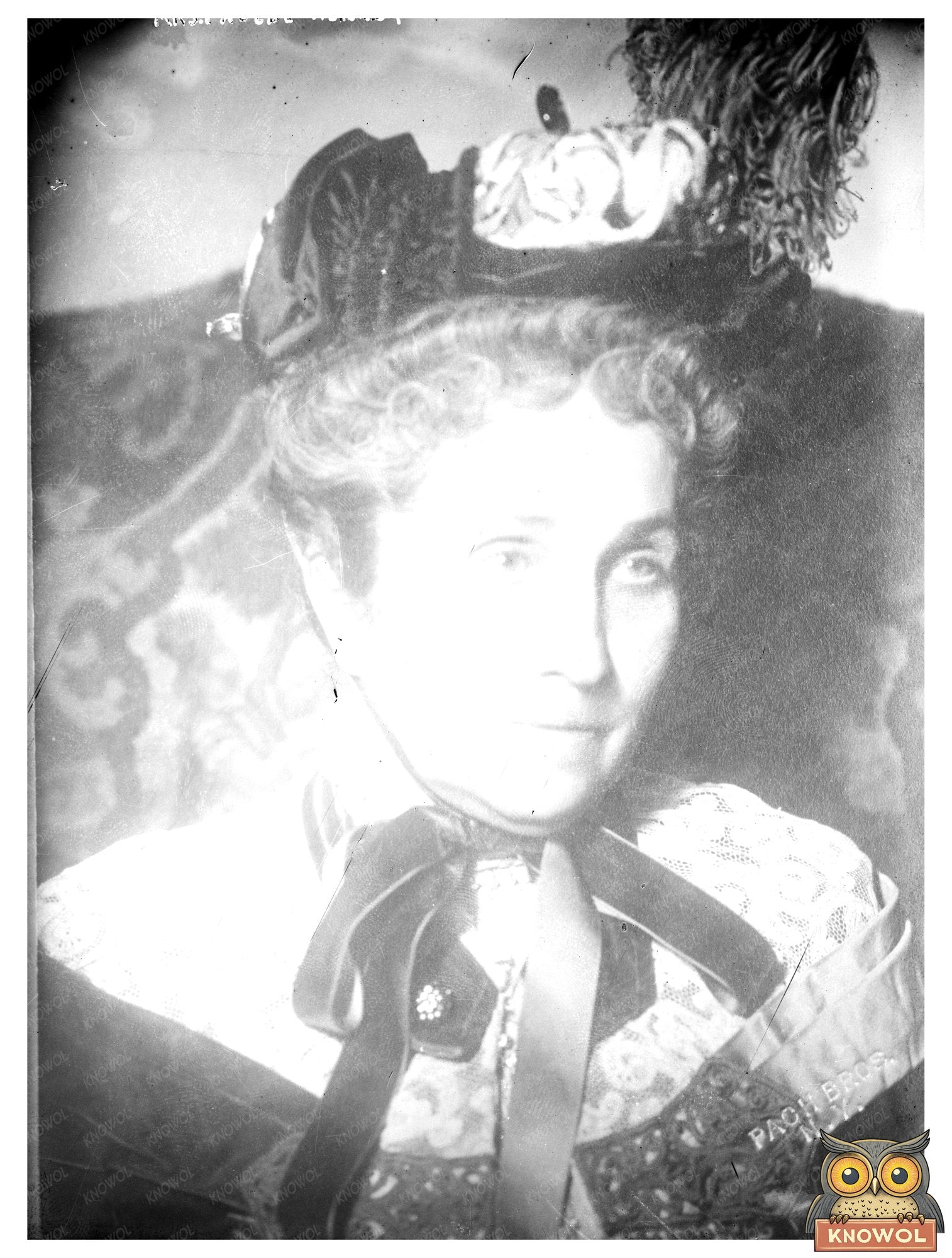 Elegant Portrait of Philanthropist Phoebe Hearst