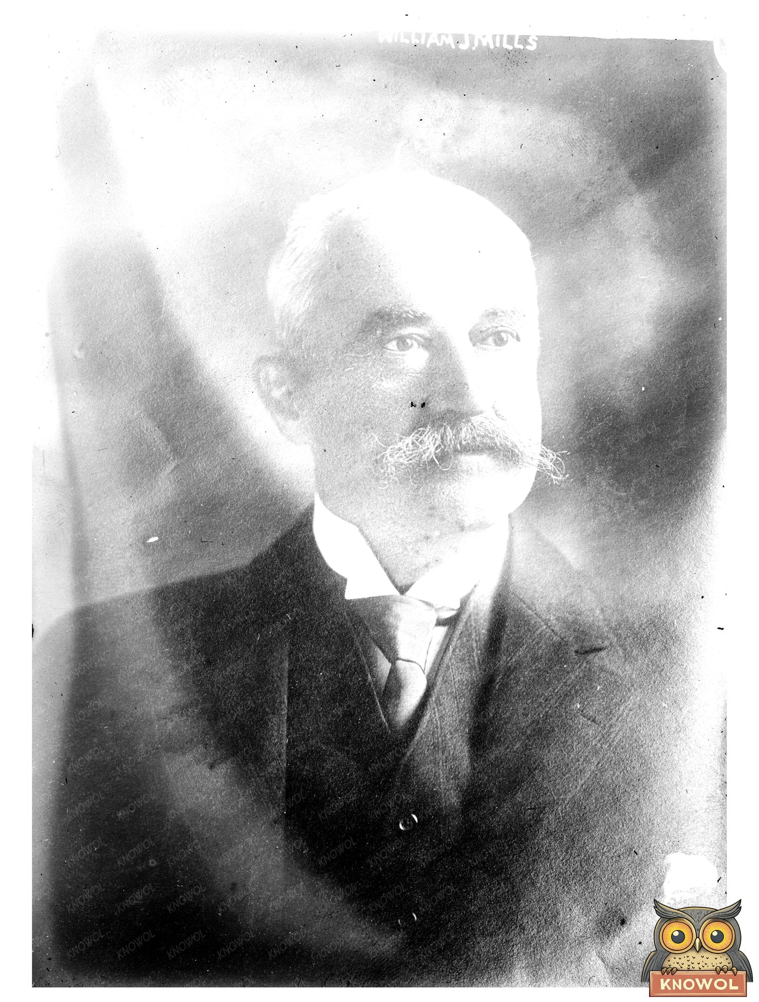 Early 20th Century Portrait of an Influential Figure