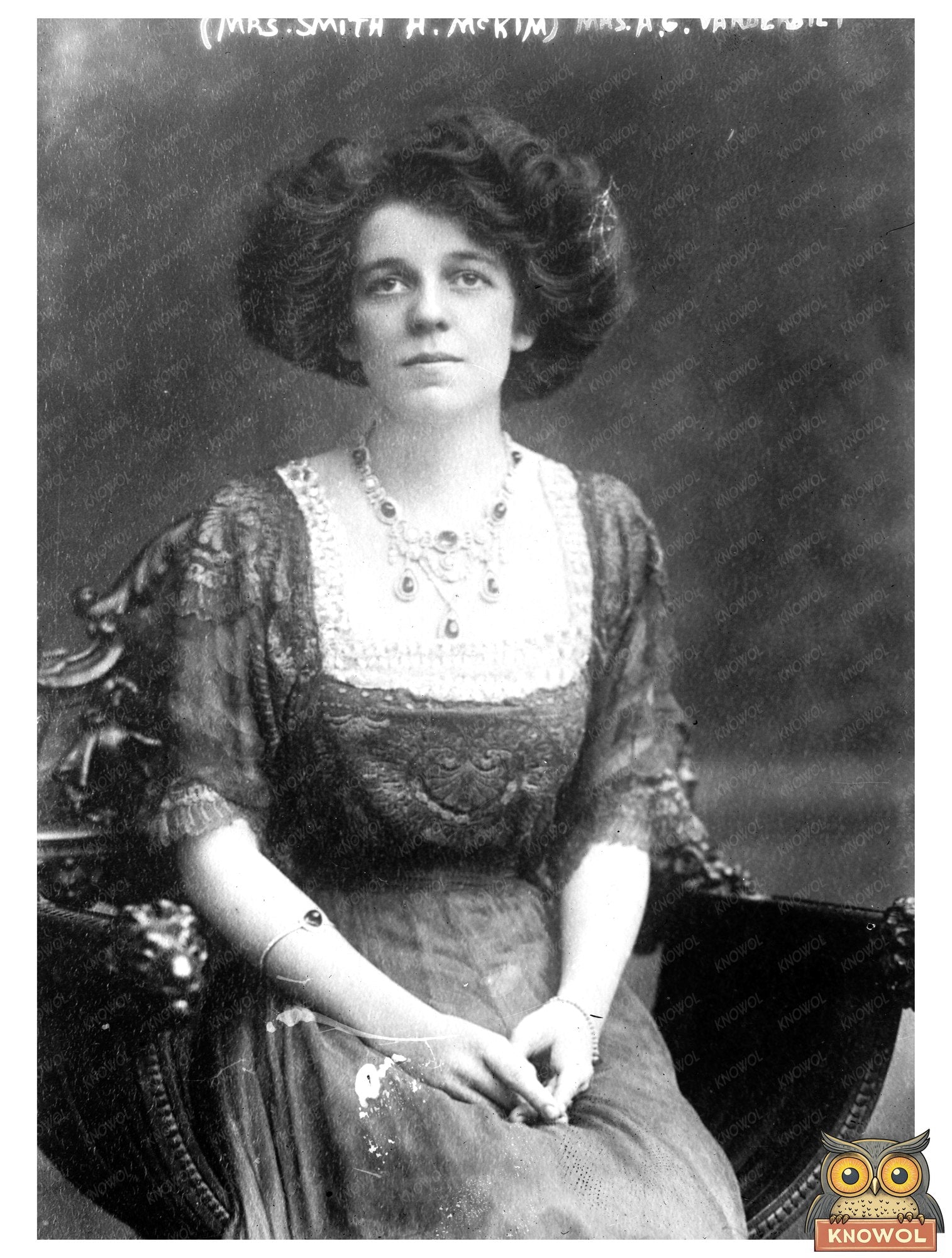 Elegant Portrait of Mrs. Smith H. McKim Seated