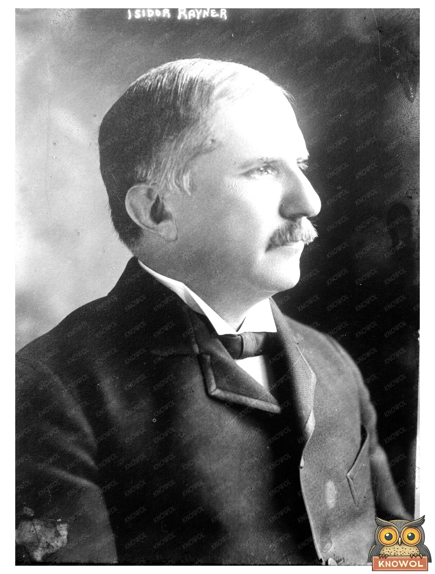Portrait of a Pioneering Maryland Politician